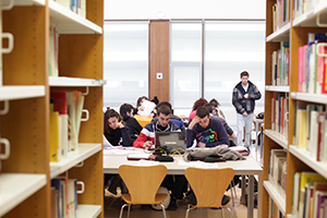 Studying in the library