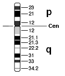 Idiograma del Cromosoma 9