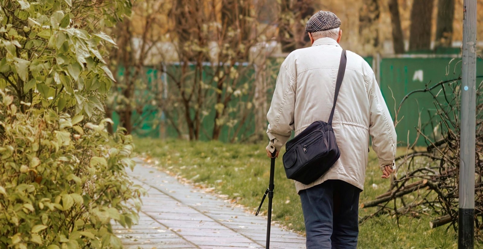 A diet rich in antioxidants may prevent neuromuscular deterioration