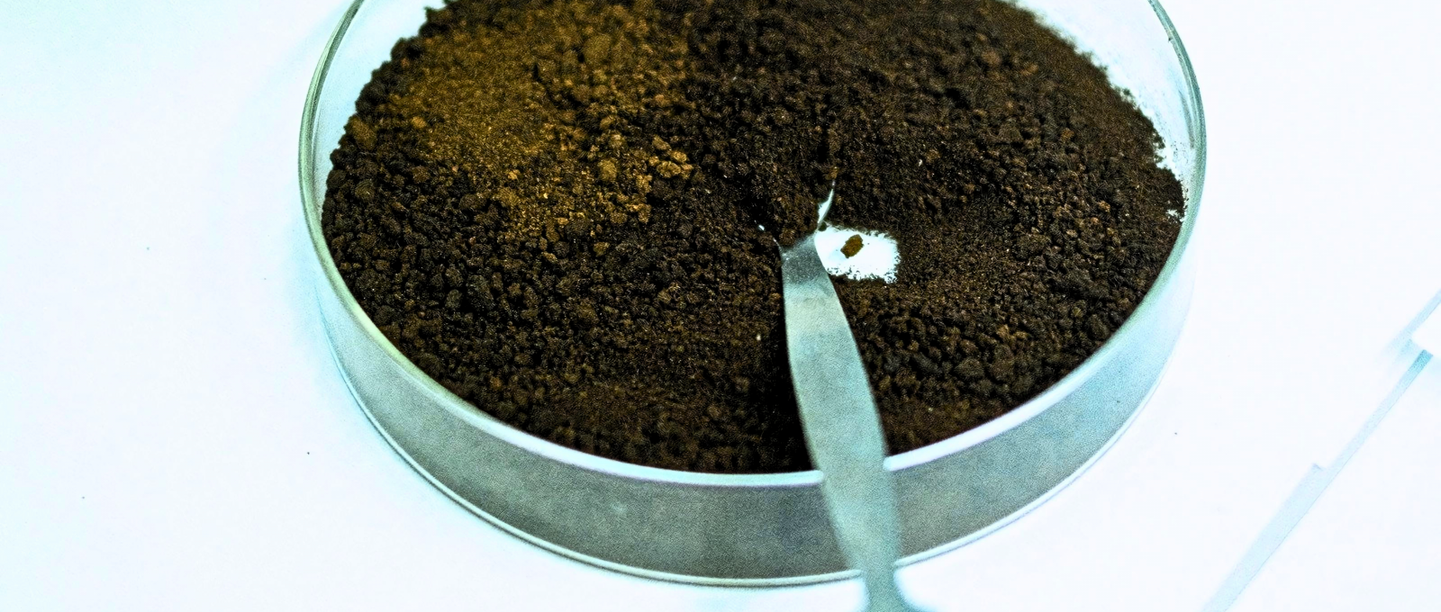Una recerca transforma el marro del cafè en bioplàstics